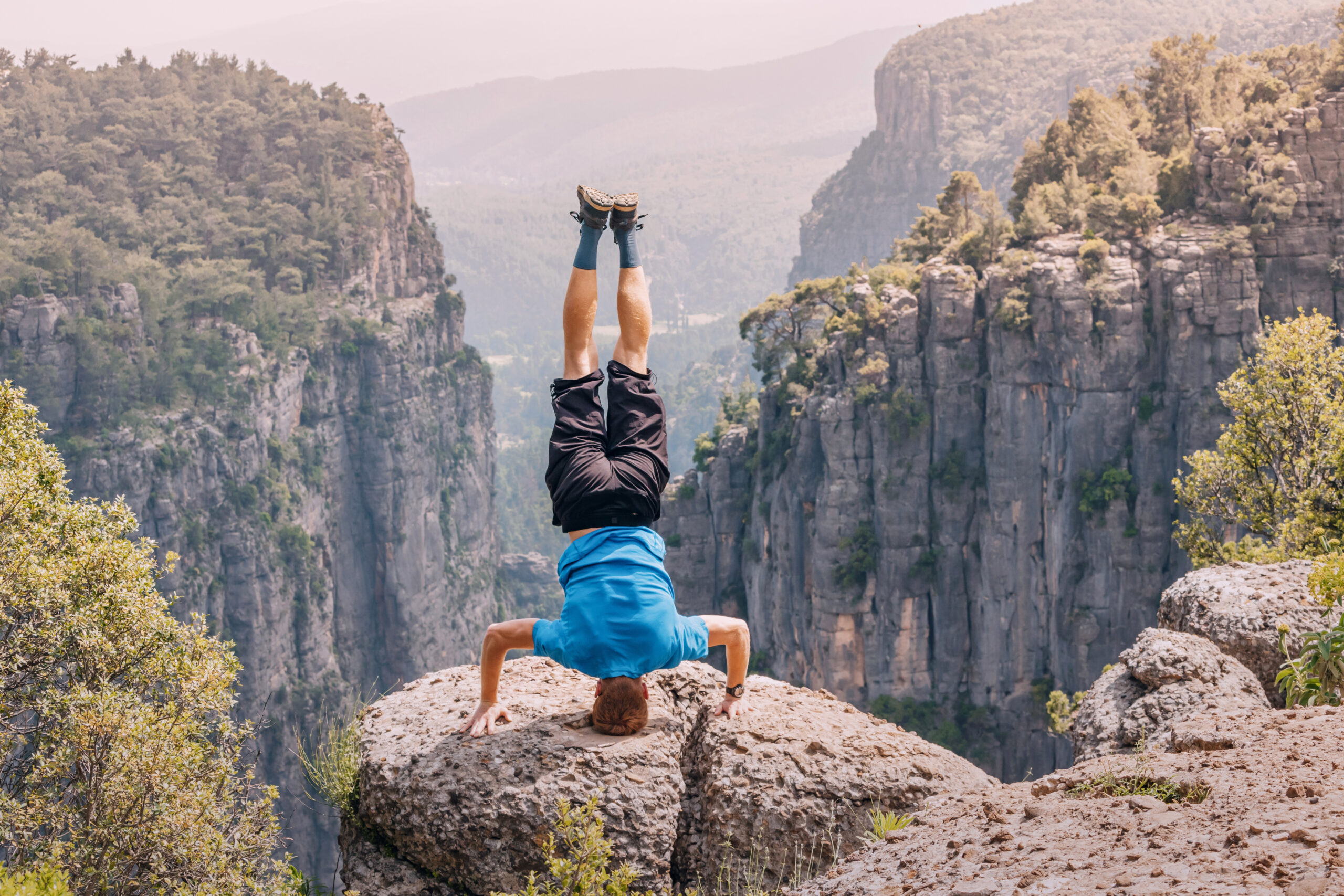 Survive vs. Thrive Brain: How to Unlock Growth in Your Organization